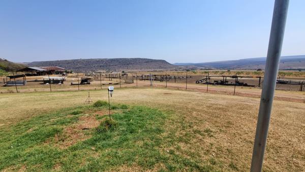 215 ha Farm