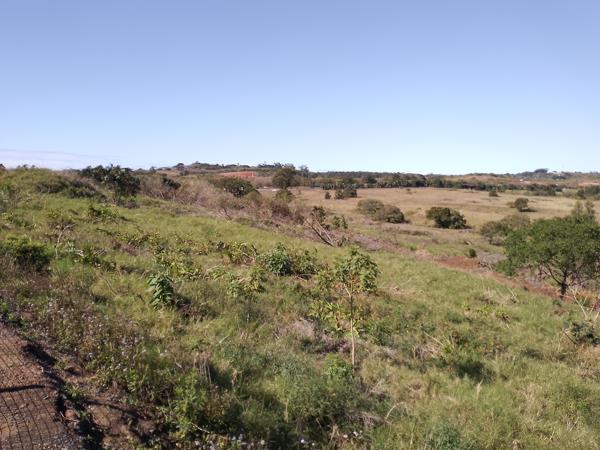 2 ha Land
