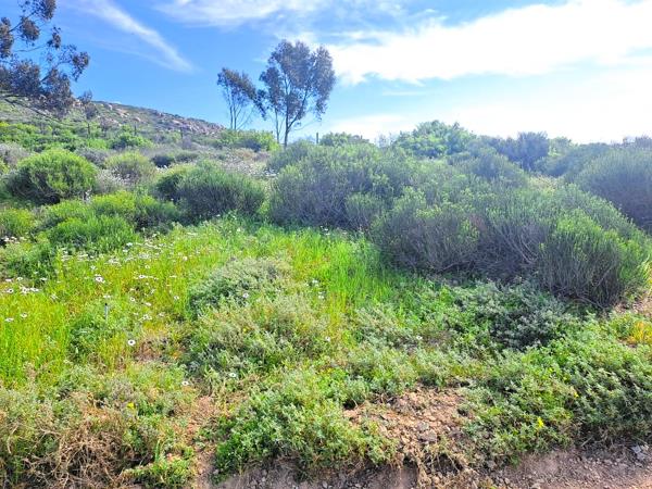 661 m² Land