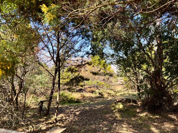 3 000 m² Land