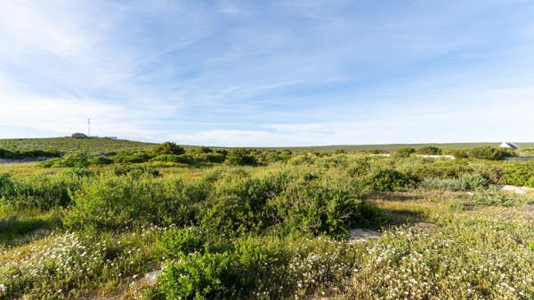 656 m² Land