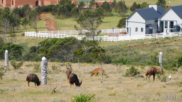 3 147 m² Land