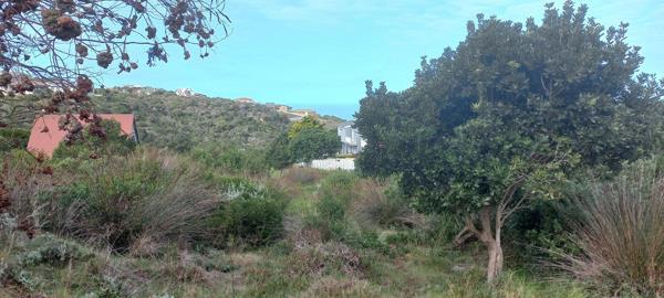 910 m² Land