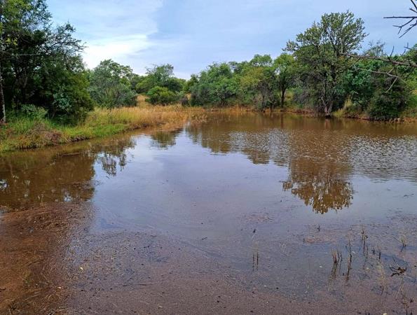 171.5 ha Farm