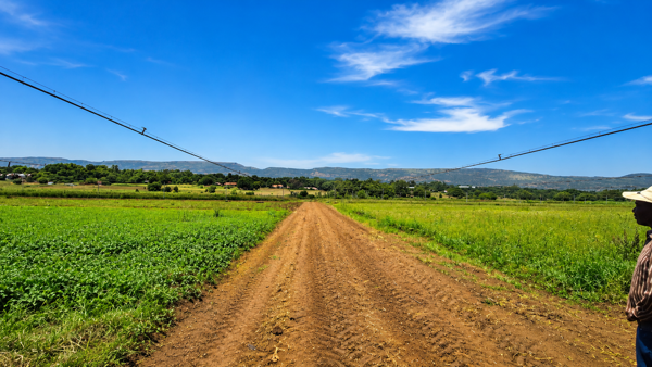 20 ha Farm