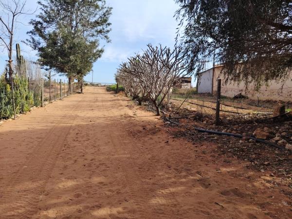 1 ha Smallholding