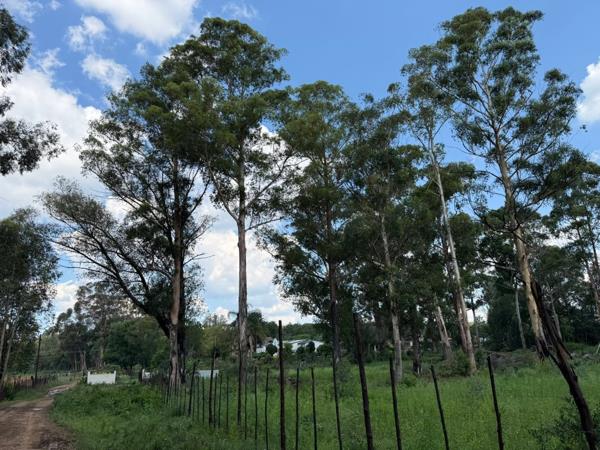 144 ha Farm