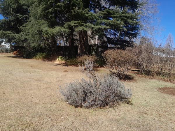 2 024 m² Land