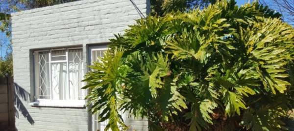 1 Bedroom Simplex
