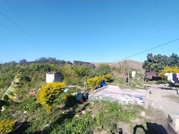 1 ha Land