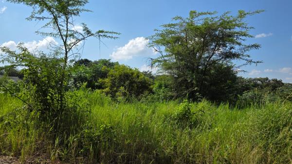 811 m² Land