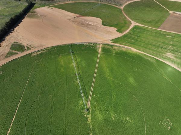 117 ha Farm with House