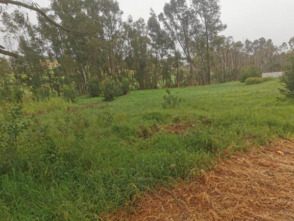 2 914 m² Land
