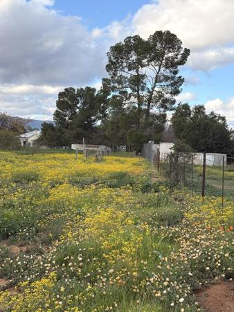 3 242 m² Land