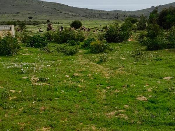 991 m² Land