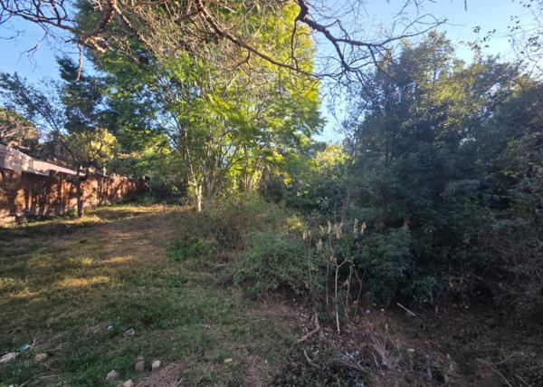 1 249 m² Land