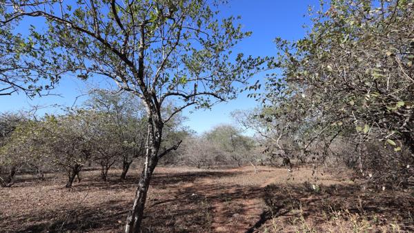 2 390 m² Land