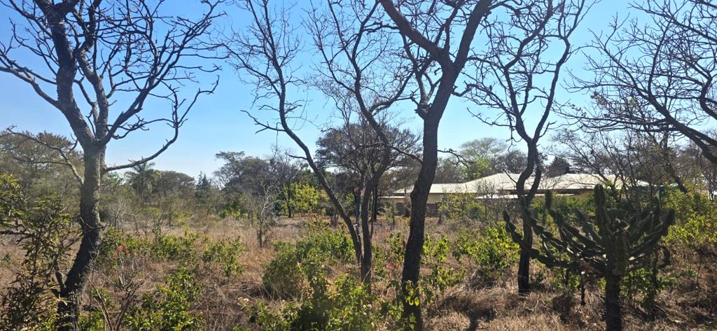 8 922 m² Land