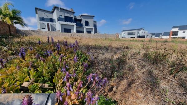 645 m² Land