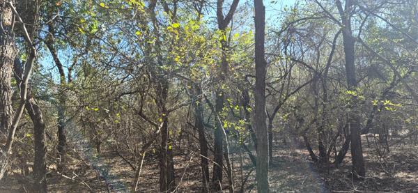 1 881 m² Land