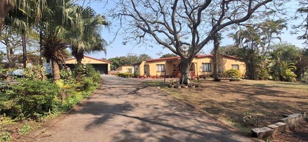 4.8 ha Farm