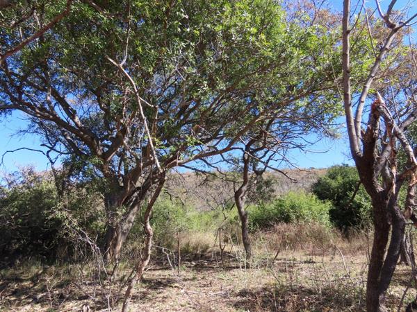 2.1 ha Land