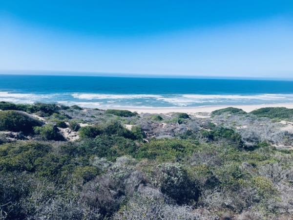 4 331 m² Land