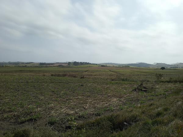 24 ha Farm