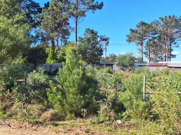 595 m² Land