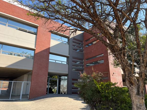 123.9 m² Commercial space