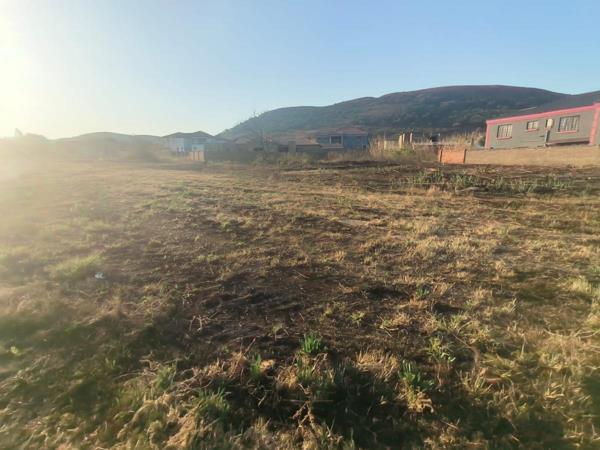 557 m² Land