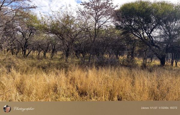 1 009 m² Land