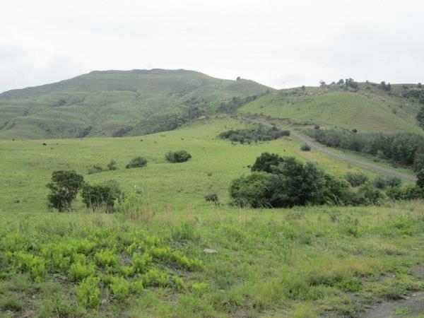 532 ha Farm