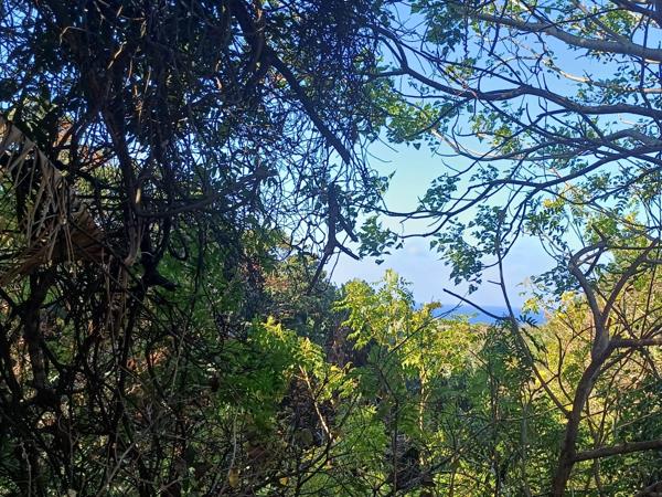 1 061 m² Land