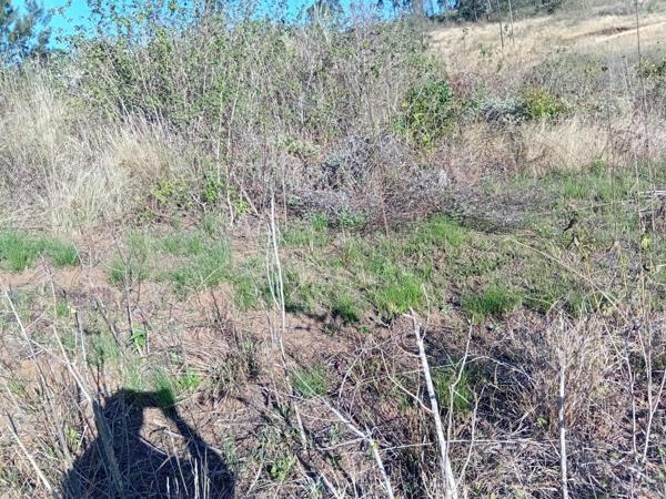 1 200 m² Land