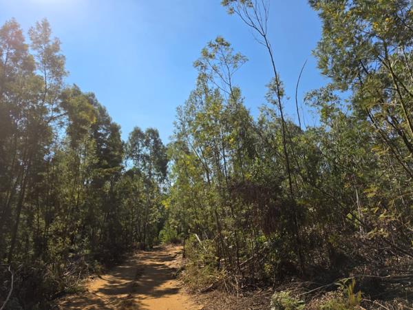 267 ha Farm