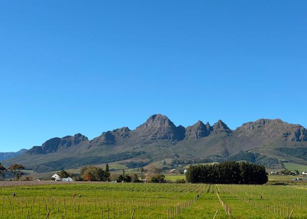 64 ha Commercial Farm