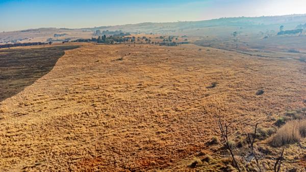 12 ha Land