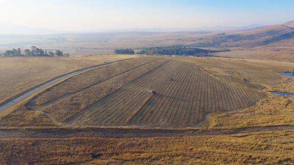 434.4 ha Farm
