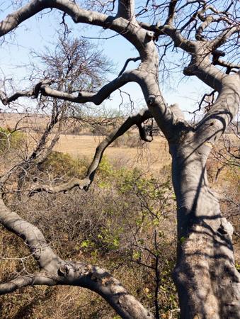 8.6 ha Land
