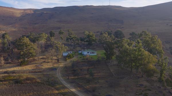 561.4 ha Farm