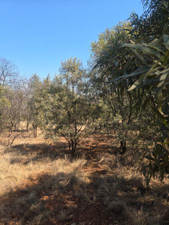 1 020 m² Land