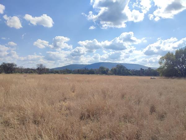 3.7 ha Land