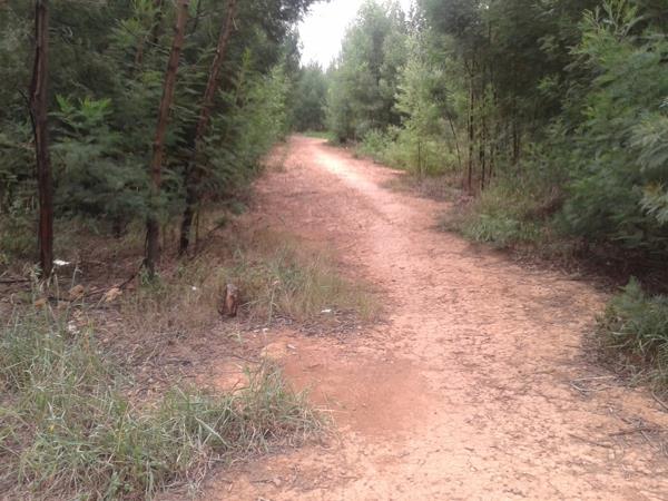 5 004 m² Land
