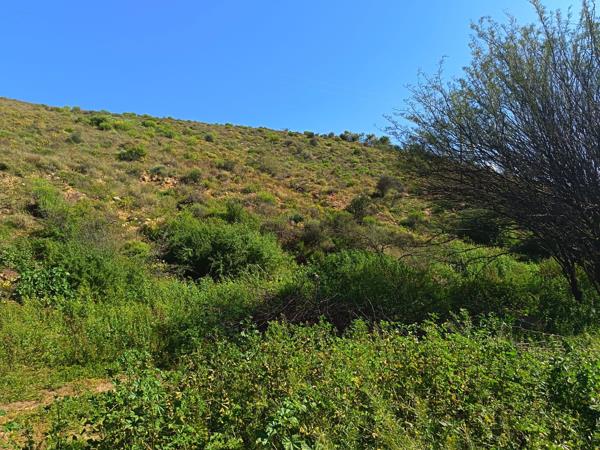 5 201 m² Land