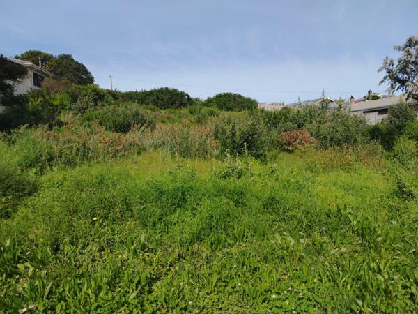 1 115 m² Land