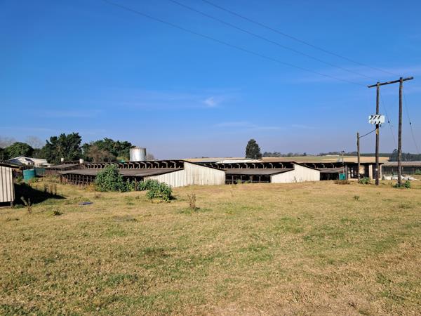 20.2 ha Smallholding