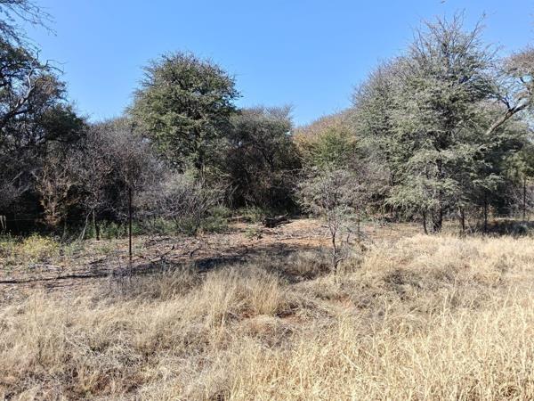 28 ha Farm