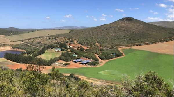233.1 ha Farm
