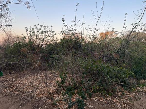 650 m² Land